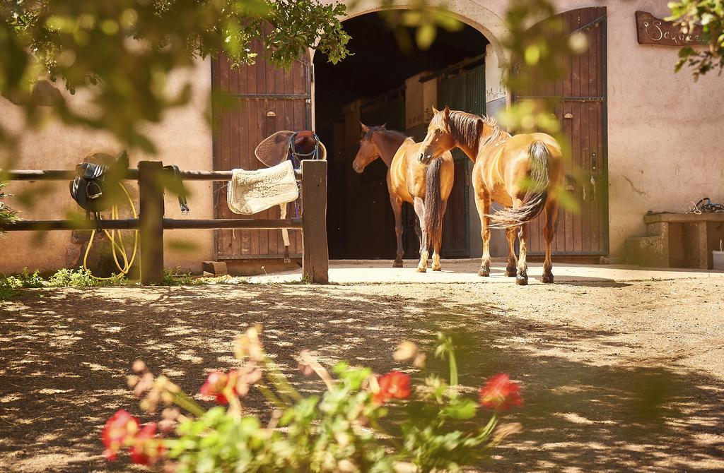 Country Hotel Mandra Edera Abbasanta Eksteriør billede