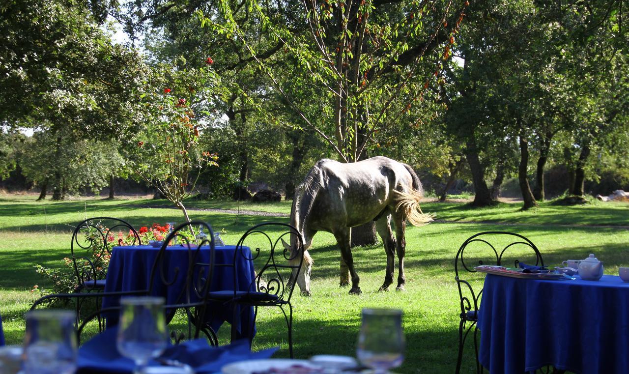 Country Hotel Mandra Edera Abbasanta Eksteriør billede